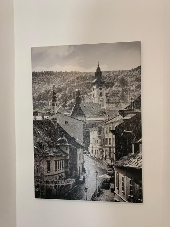 Apartman Pri Lyceu Banská Štiavnica エクステリア 写真